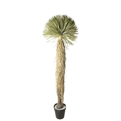 Planta Beaked Yucca artificial 210cm