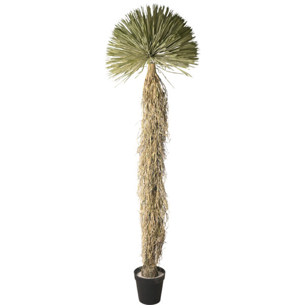 Planta Beaked Yucca artificial 260cm