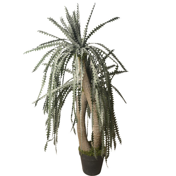 Planta Selenicereus Grandiflorus artificial 155cm