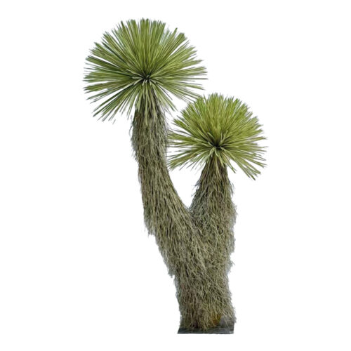 Yucca thompsoniana artificial 210cm