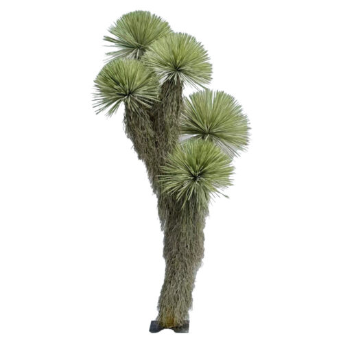 Yucca thompsoniana artificial 320cm